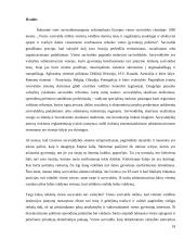 Savivaldos sistema 18 puslapis