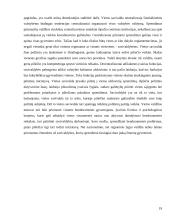 Savivaldos sistema 19 puslapis