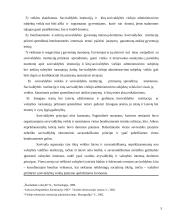 Savivaldos sistema 5 puslapis