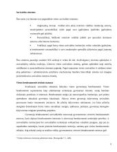 Savivaldos sistema 6 puslapis