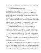 Savivaldos sistema 7 puslapis