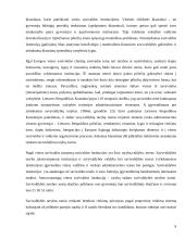 Savivaldos sistema 9 puslapis