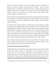 Savivaldos sistema 10 puslapis