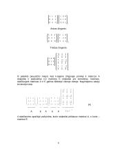 Tiesinių lygčių sprendimas, atvirkštinės matricos metodu su programa MathCad 8 puslapis