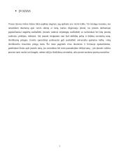 Bendrieji apskaitos principai laisvosios rinkos šalyse 3 puslapis