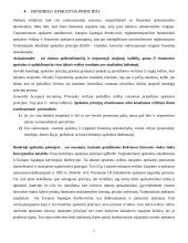 Bendrieji apskaitos principai laisvosios rinkos šalyse 4 puslapis