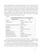 Biokatalizatorių panaudojimas biotechnologijoje 12 puslapis