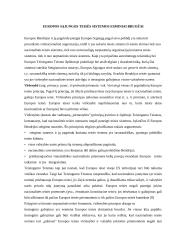 Europos Sąjungos (ES) teisė 2 puslapis