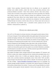 Europos Sąjungos (ES) teisė 3 puslapis