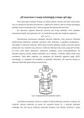 Nenutrūkstamo alaus fermentacijos proceso automatizavimas 6 puslapis