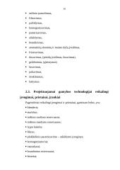 Ledų gamyba: UAB "Kraitenė" 15 puslapis