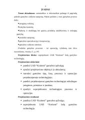 Ledų gamyba: UAB "Kraitenė" 3 puslapis