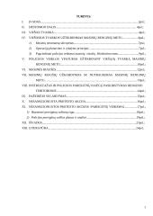 Viešosios tvarkos užtikrinimas nesankcionuotų masinių renginių metu 2 puslapis