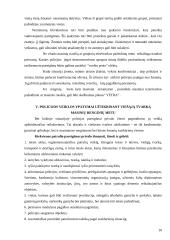 Viešosios tvarkos užtikrinimas nesankcionuotų masinių renginių metu 11 puslapis