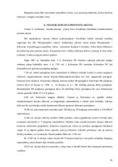 Viešosios tvarkos užtikrinimas nesankcionuotų masinių renginių metu 17 puslapis