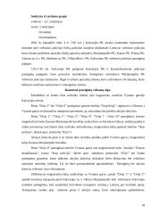 Viešosios tvarkos užtikrinimas nesankcionuotų masinių renginių metu 19 puslapis