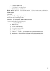 Viešosios tvarkos užtikrinimas nesankcionuotų masinių renginių metu 4 puslapis