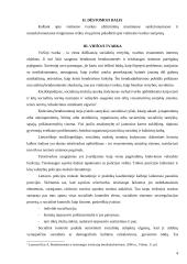 Viešosios tvarkos užtikrinimas nesankcionuotų masinių renginių metu 5 puslapis