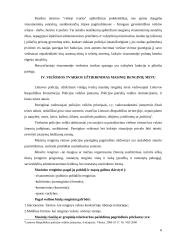 Viešosios tvarkos užtikrinimas nesankcionuotų masinių renginių metu 7 puslapis