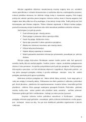 Viešosios tvarkos užtikrinimas nesankcionuotų masinių renginių metu 9 puslapis