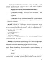 Viešosios tvarkos užtikrinimas nesankcionuotų masinių renginių metu 10 puslapis