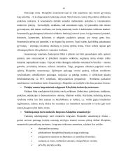 Klaipėdos miesto savivaldybės parama smulkiam ir vidutiniam verslui (SVV) 12 puslapis