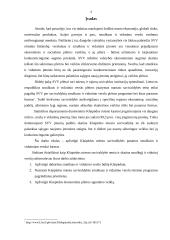 Klaipėdos miesto savivaldybės parama smulkiam ir vidutiniam verslui (SVV) 2 puslapis