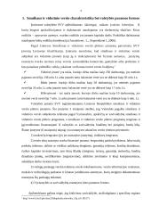 Klaipėdos miesto savivaldybės parama smulkiam ir vidutiniam verslui (SVV) 3 puslapis