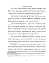 M. Weber racionali biurokratija 4 puslapis