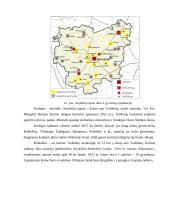 Anykščių rajono Surdegio kadastro vietovės Pelekiškio kaimo žemės konsolidacijos projektas 13 puslapis