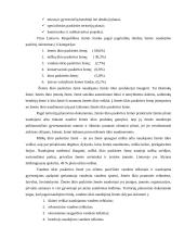 Anykščių rajono Surdegio kadastro vietovės Pelekiškio kaimo žemės konsolidacijos projektas 15 puslapis