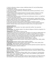 Produktų panaudojimas patiekalams 2 puslapis
