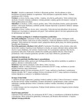 Produktų panaudojimas patiekalams 4 puslapis