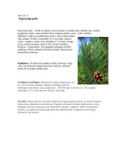 Modifikacinis kintamumas: Paprastoji pušis 2 puslapis