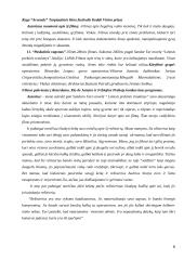 Audrius Stonys 5 puslapis