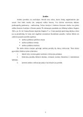 Antikos palikimas šių dienų civilizacijai 3 puslapis