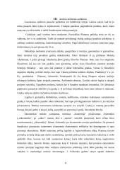 Antikos palikimas šių dienų civilizacijai 8 puslapis