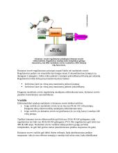 Viskas apie elektromobilius 9 puslapis