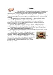 Mėsinių veislių kiaulių genetiniai ištekliai Lietuvoje ir pasaulyje, jų charakterizavimas ir panaudojimas 3 puslapis