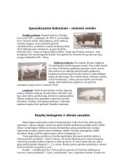 Mėsinių veislių kiaulių genetiniai ištekliai Lietuvoje ir pasaulyje, jų charakterizavimas ir panaudojimas 10 puslapis