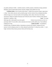 Viešųjų kalbų rūšys bei jų rengimo metodika 11 puslapis