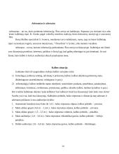 Viešųjų kalbų rūšys bei jų rengimo metodika 14 puslapis