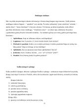 Viešųjų kalbų rūšys bei jų rengimo metodika 15 puslapis