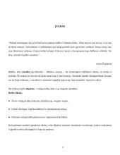 Viešųjų kalbų rūšys bei jų rengimo metodika 4 puslapis