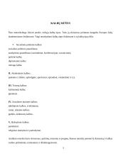 Viešųjų kalbų rūšys bei jų rengimo metodika 5 puslapis