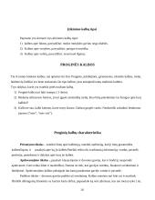 Viešųjų kalbų rūšys bei jų rengimo metodika 10 puslapis