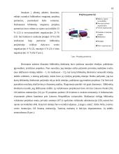 Viešųjų bibliotekų projektai 2000-2004 metais: temos, partneriai ir rėmėjai 19 puslapis