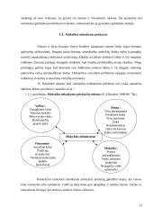 Moksleivių mokyklos nelankymo priežasčių analizė 13 puslapis