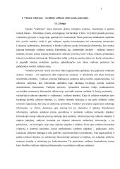 Viešasis valdymas – socialinio valdymo rūšis. Viešojo valdymo esmė ir požymiai 2 puslapis