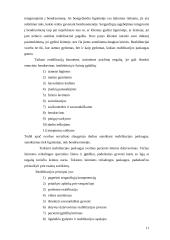 Įstaigos veikla: VŠĮ Rokiškio psichiatrijos ligoninė 10 puslapis